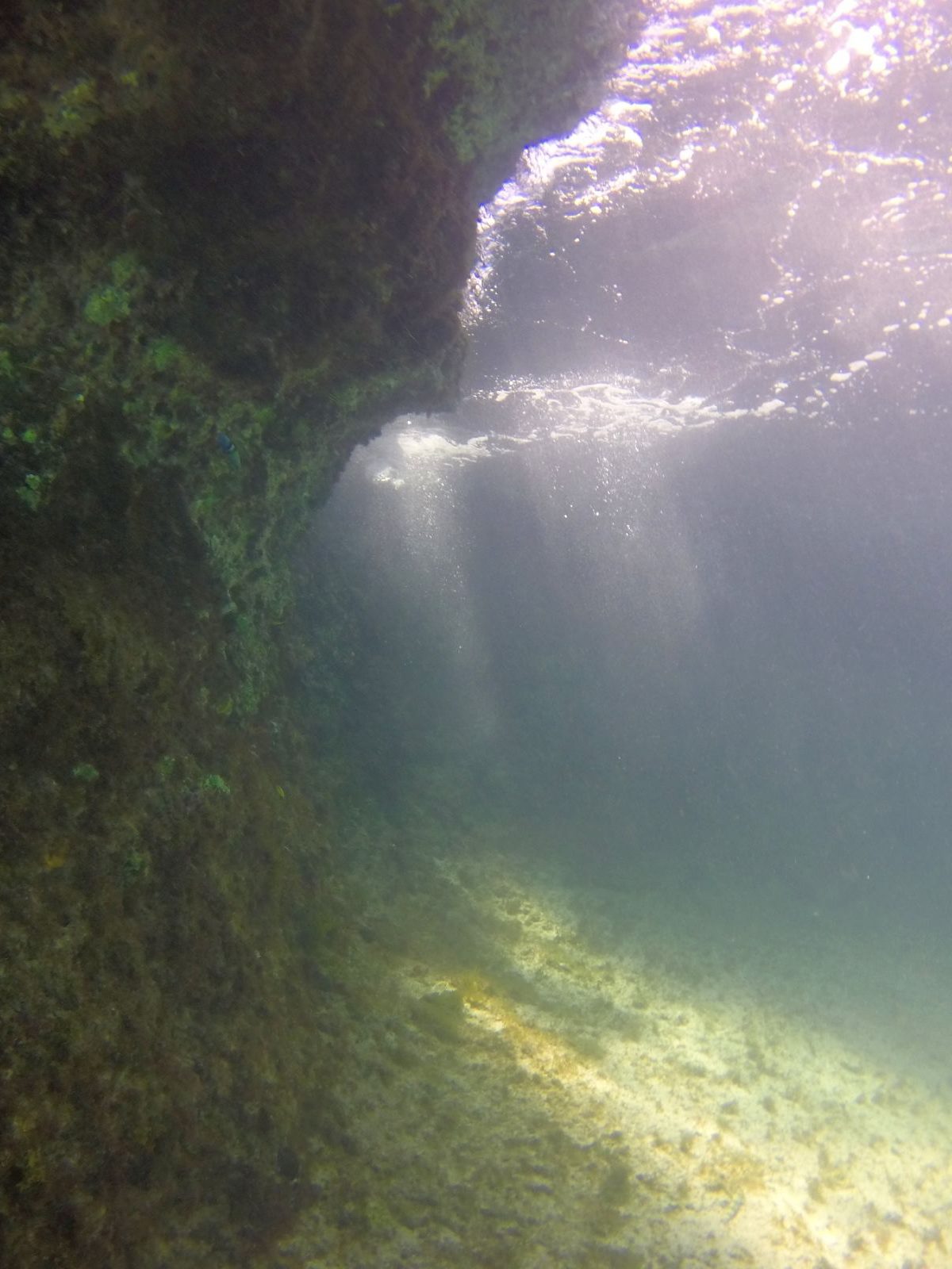 Under the shoreline