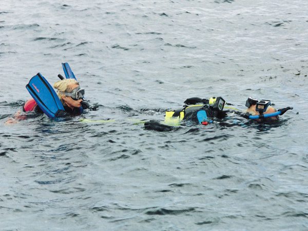 PADI Rescue Diver