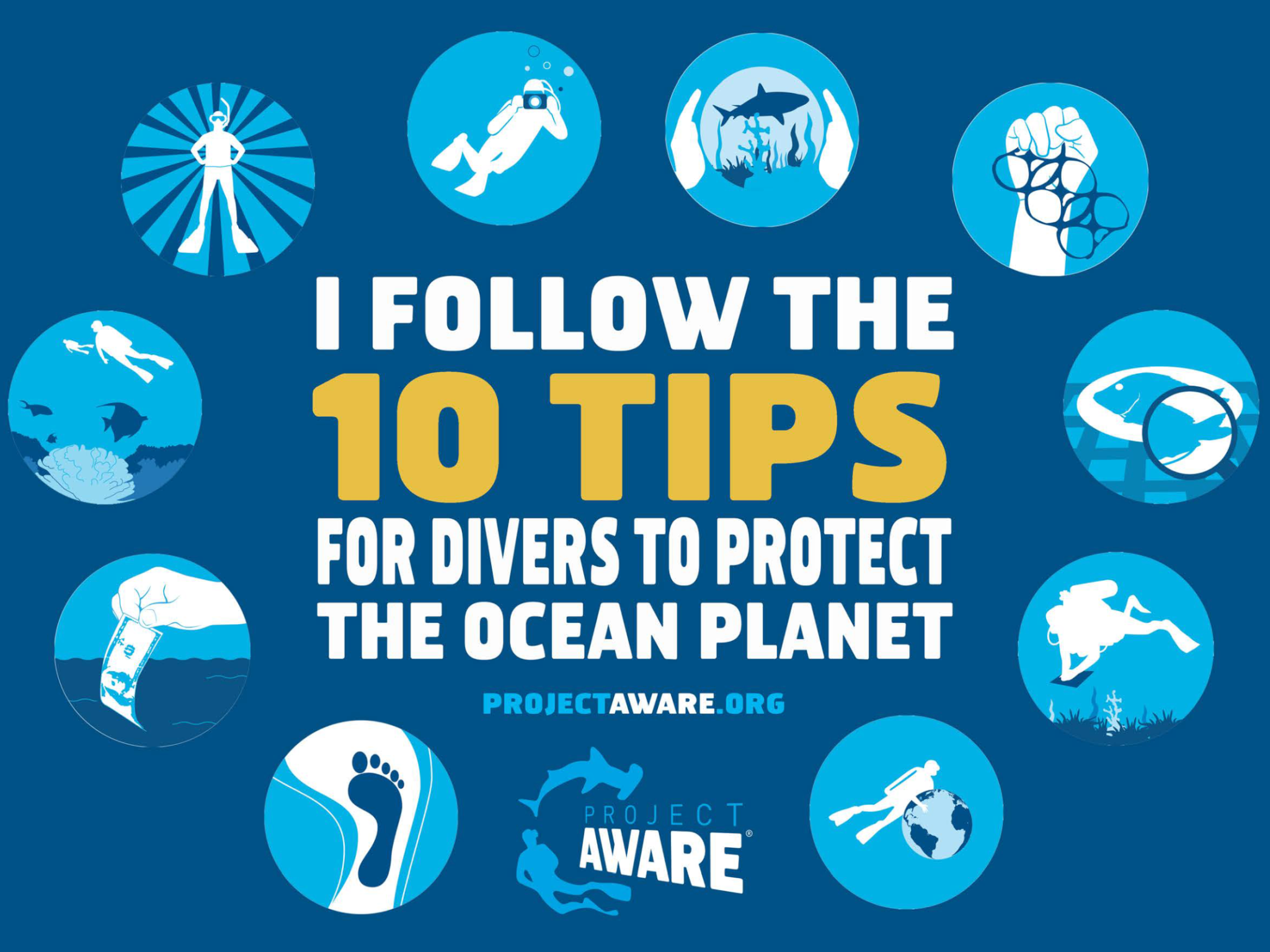 Project Aware Specialist Divi Diving