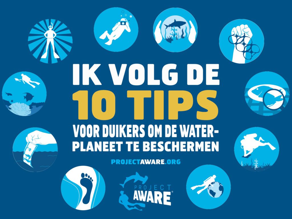 10 Tips verklaring