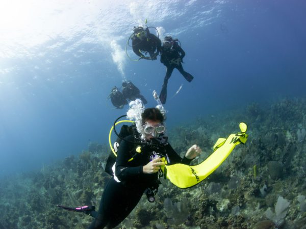 DSMB oplaten boven koralen